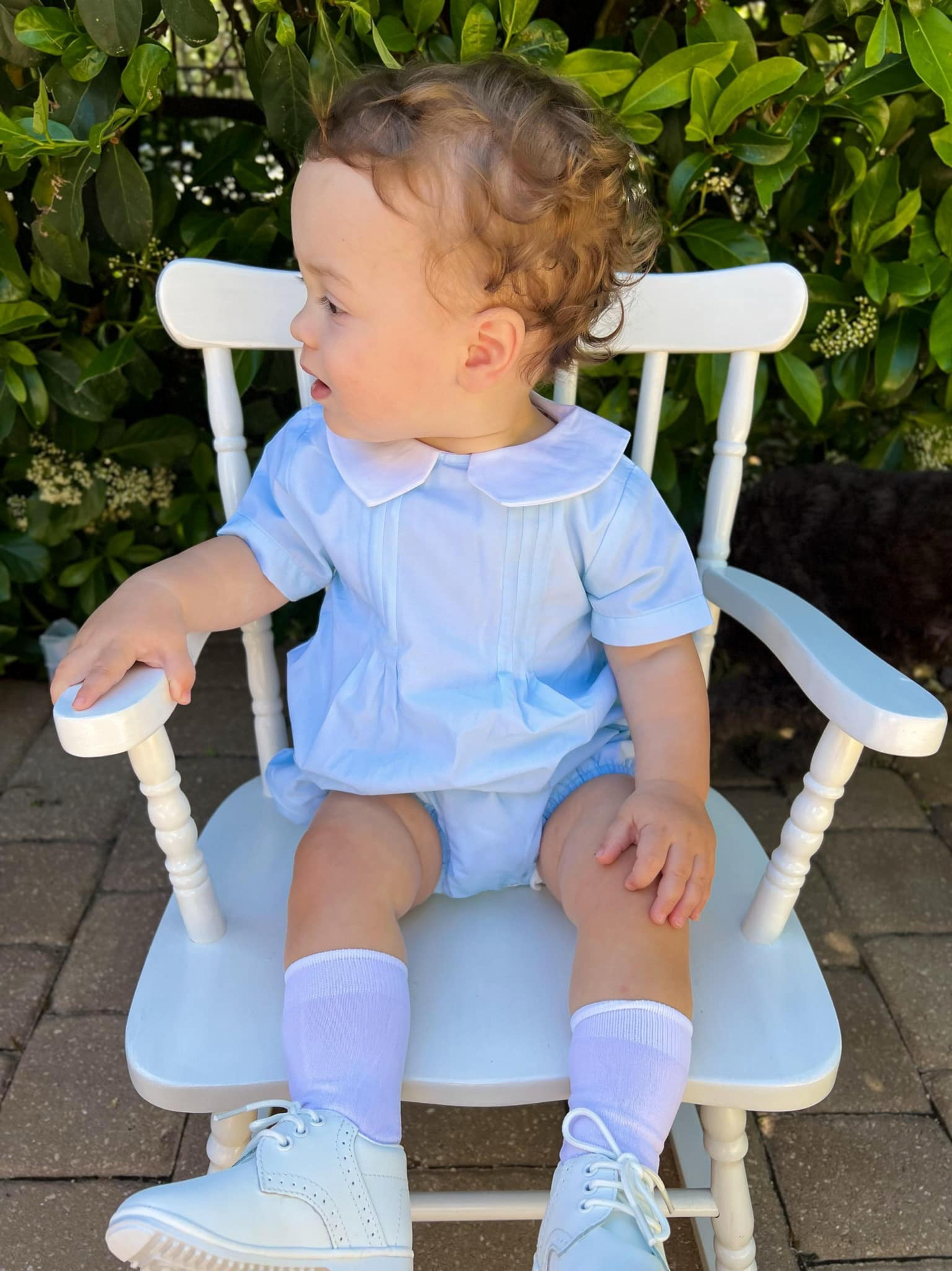 RTS: Boy Blue Heirloom Bubble